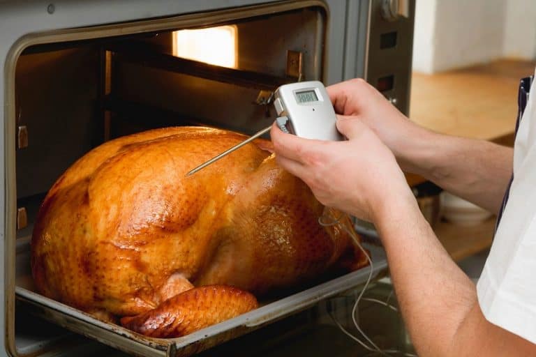 where do i put the thermometer in the turkey