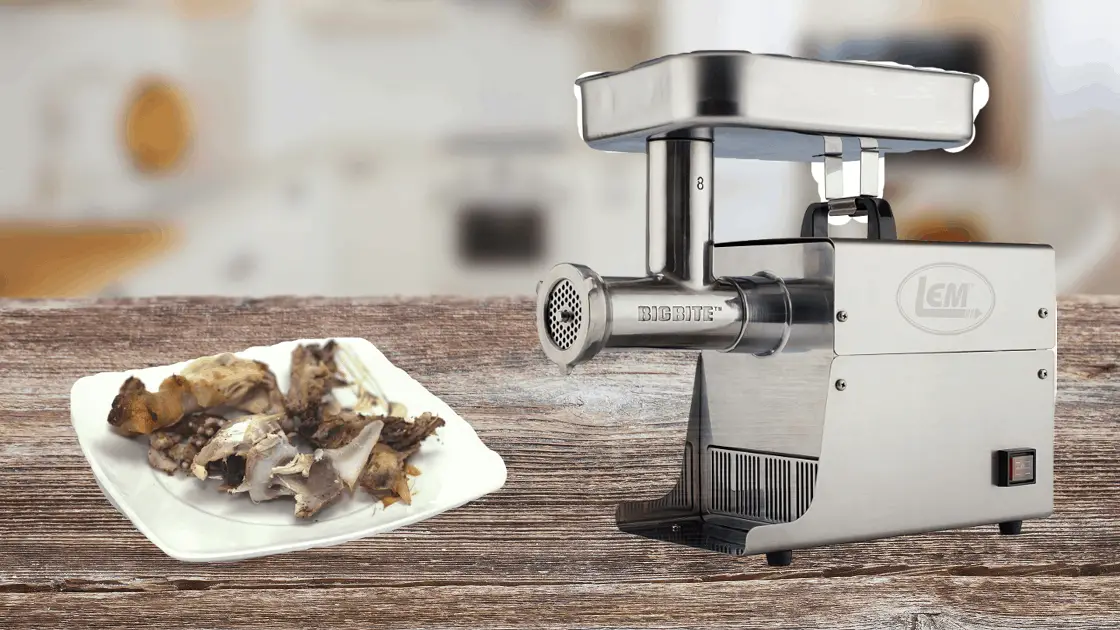 7 Best Meat Grinder For Bones In 2022 [Ultimate Guide & Tips] Meat