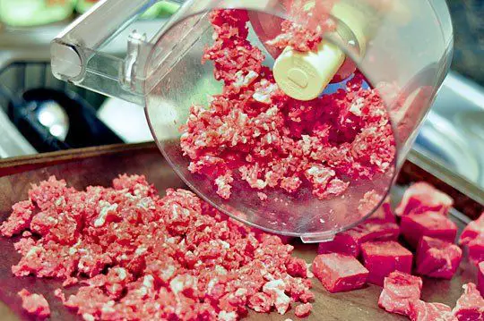 Can You Grind Meat in a Food Processor