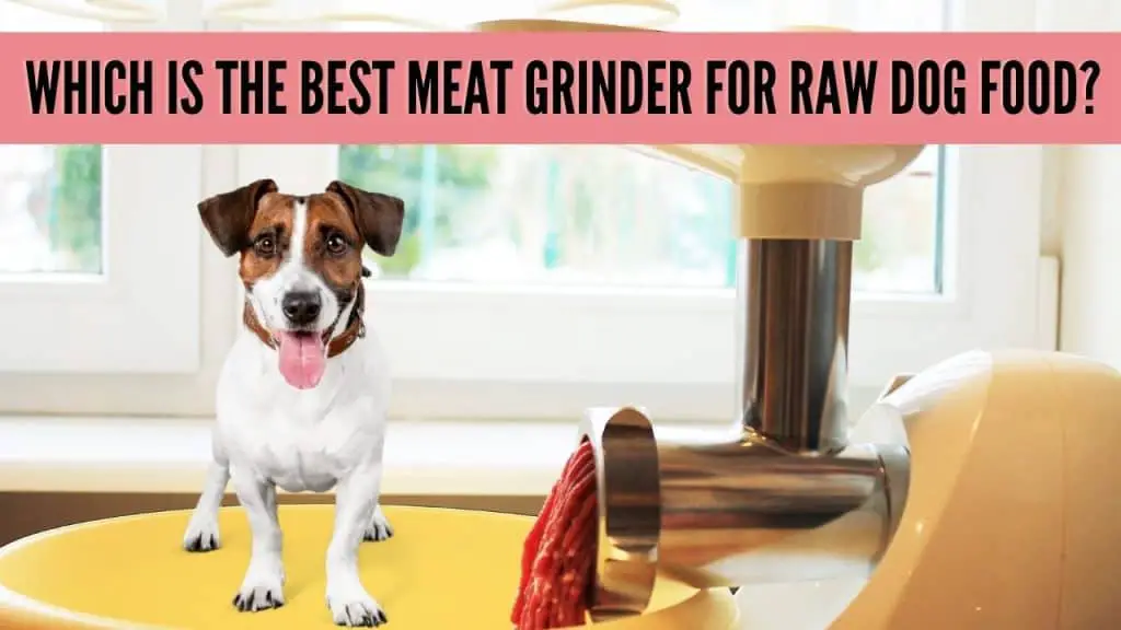 Best Meat Grinder for Raw Dog Food