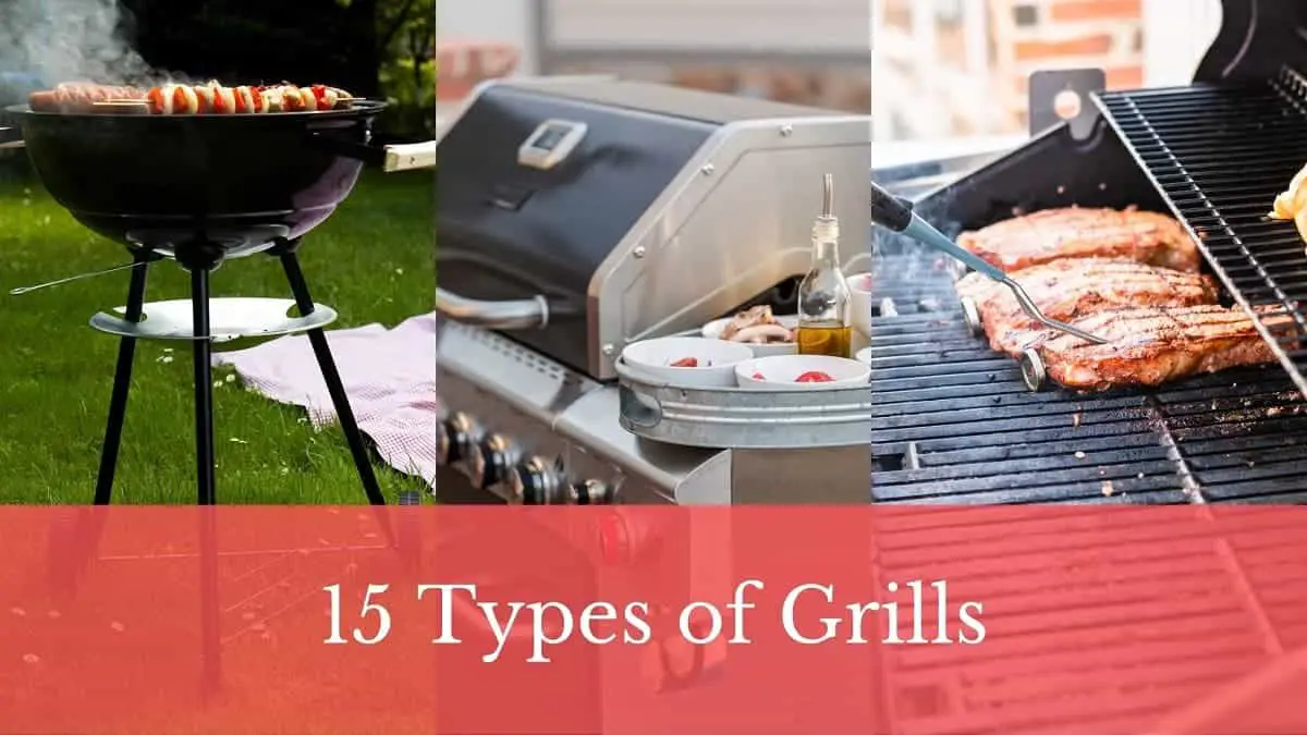 15 Types of Grills Which One Should You Get (Beginner & Pros) Meat