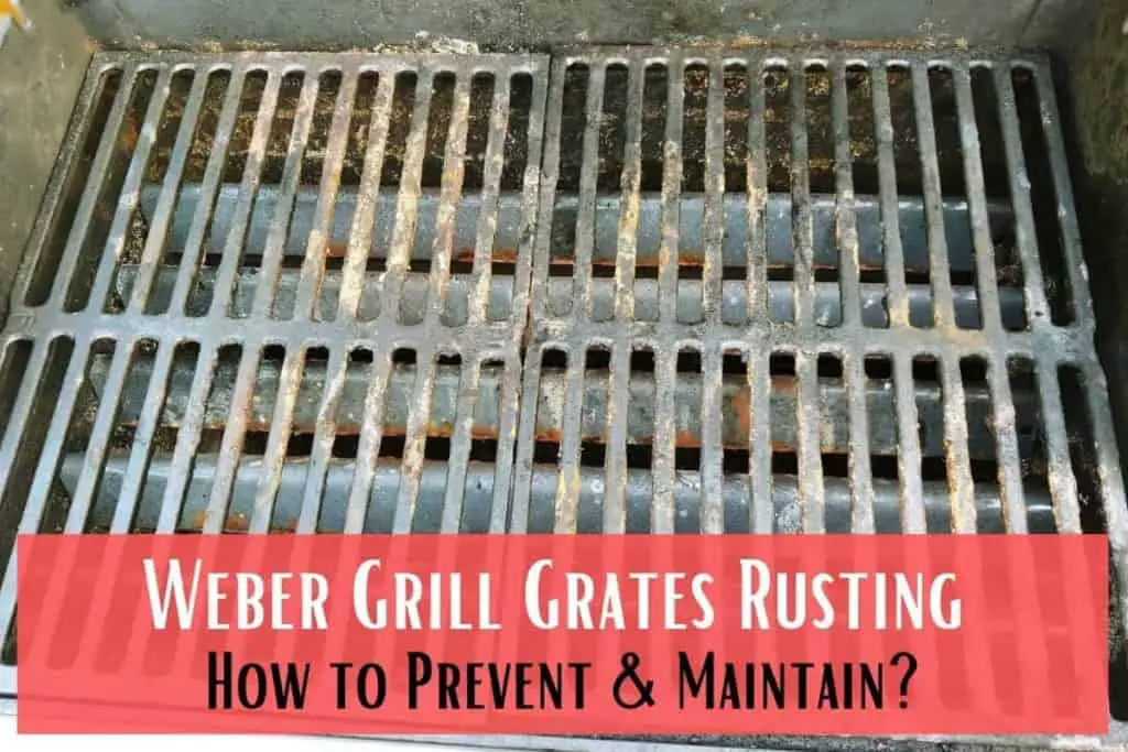 Weber Grill Grates Rusting How to Prevent and Maintain? Meat Answers