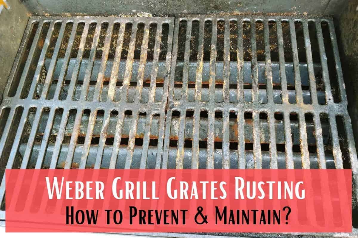 Weber Grill Grates Rusting