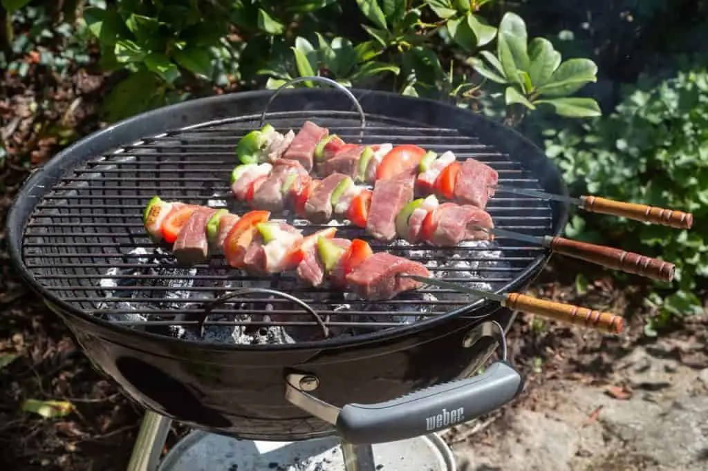 Best Weber Charcoal Grills