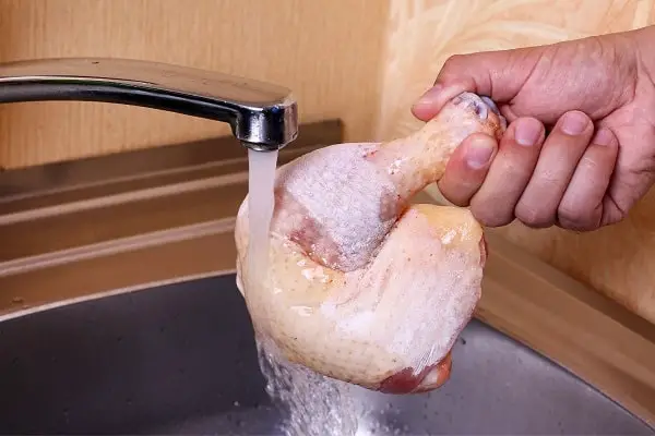 Thawing Frozen Chicken