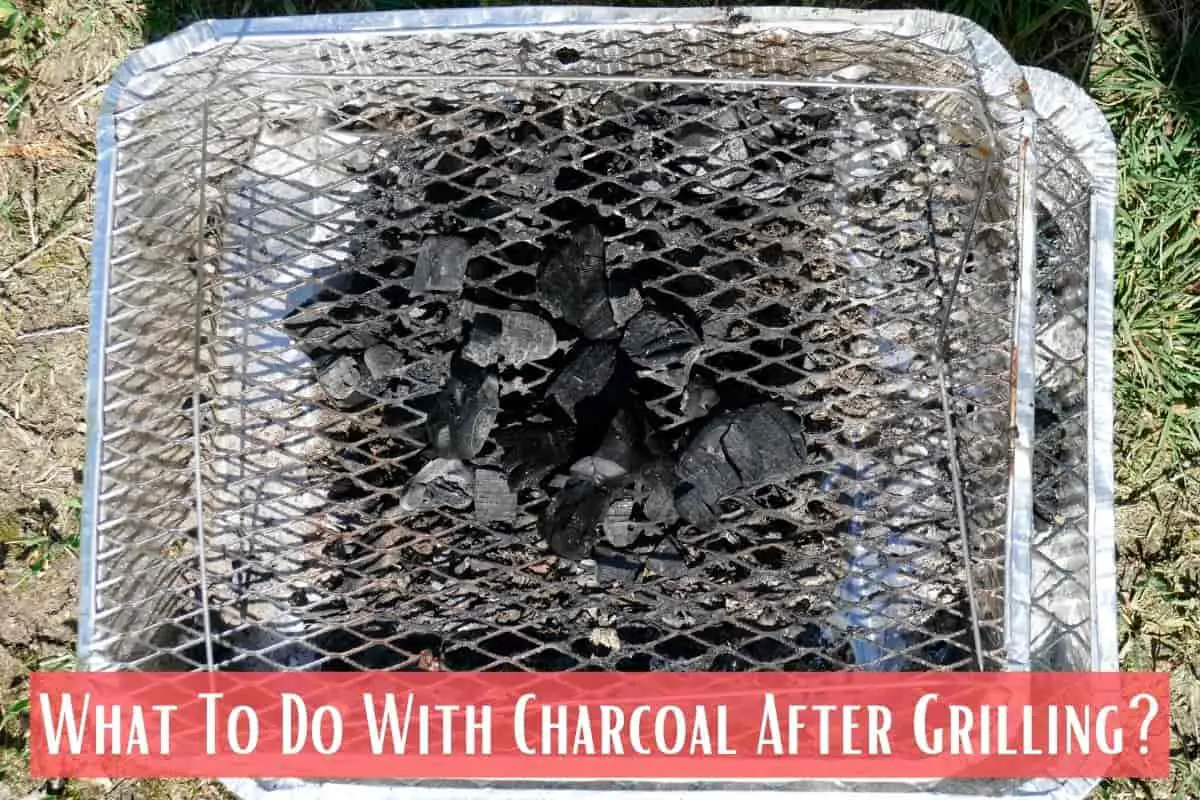 What To Do With Charcoal After Grilling