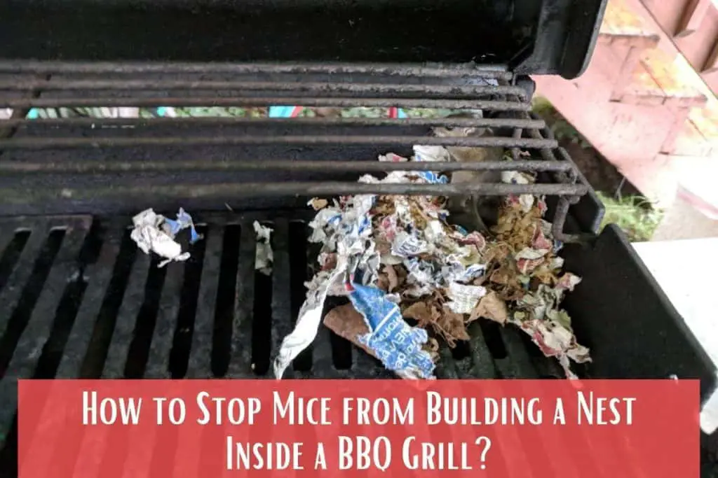 How to Stop Mice from Building a Nest Inside a BBQ Grill
