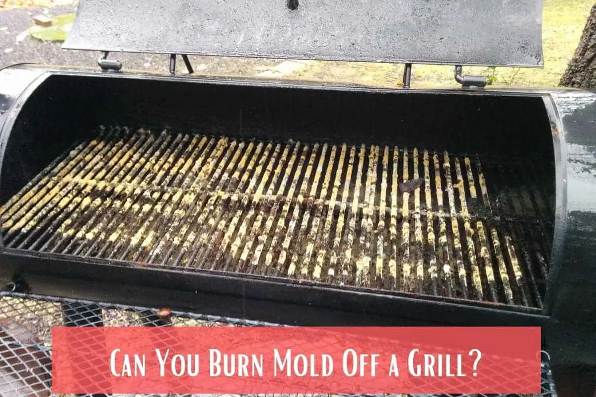 Can You Burn Mold Off a Grill