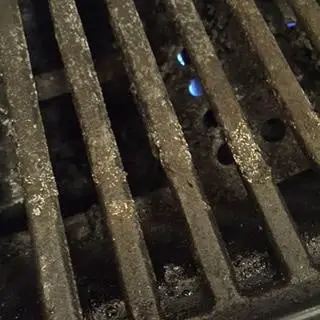 Molds on a grill grate