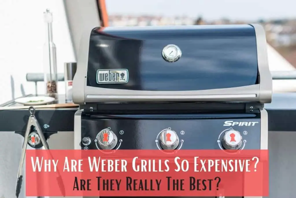 Why Are Weber Grills So Expensive - Are They Really The Best
