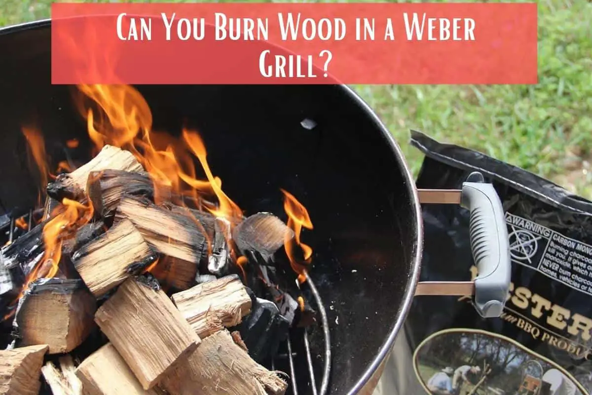 Can You Burn Wood in a Weber Grill