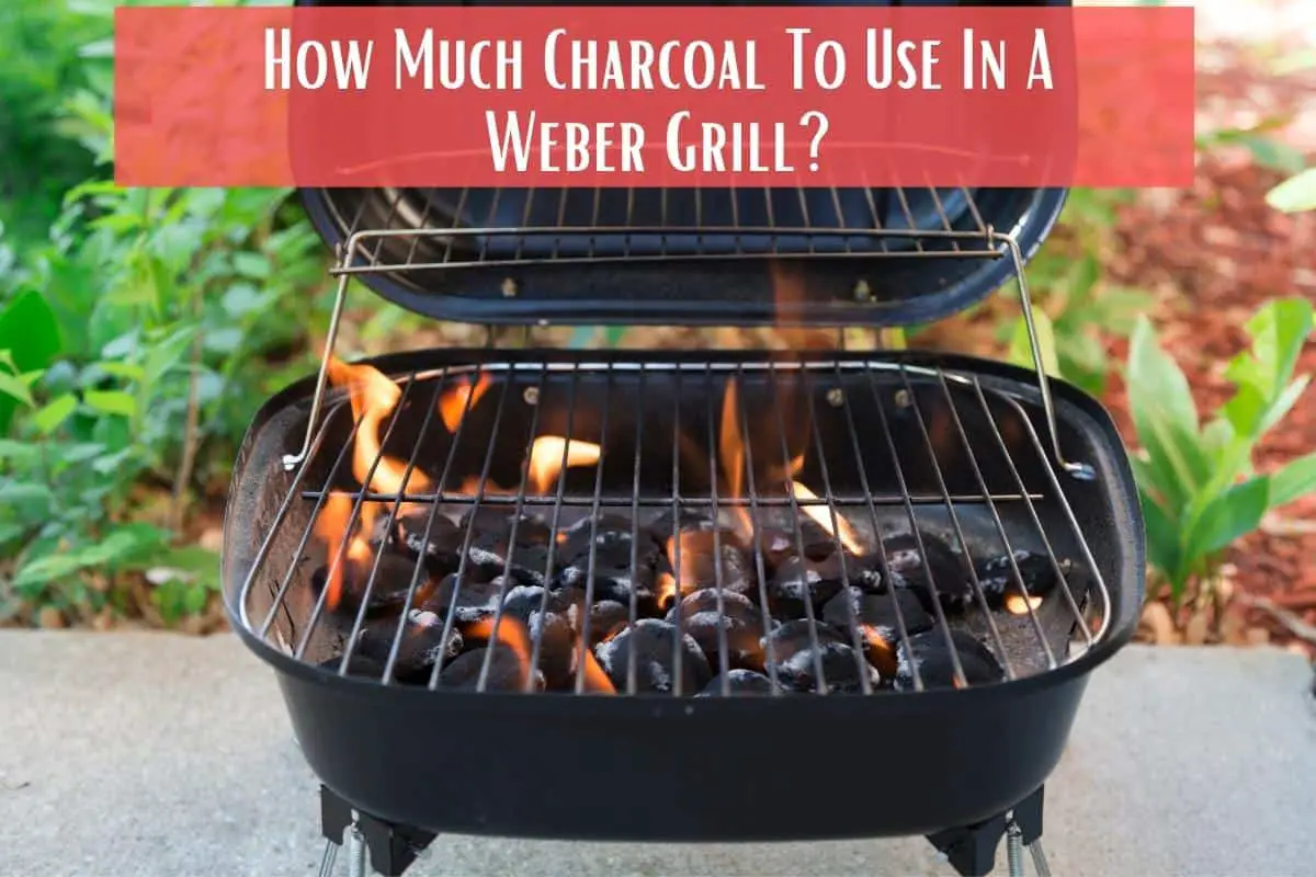 How Much Charcoal To Use In A Weber Grill